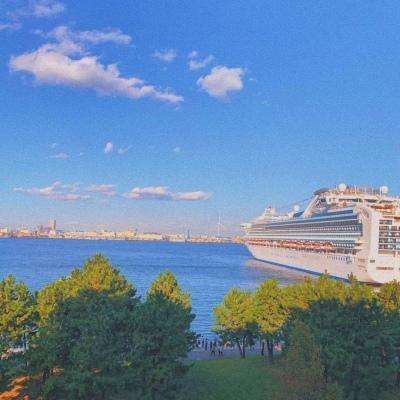 皇冠官网app下载安装