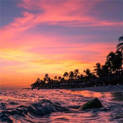 免费pg电子游戏