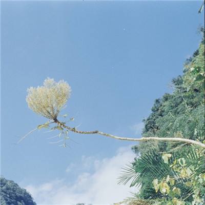 港澳宝典手机app下载