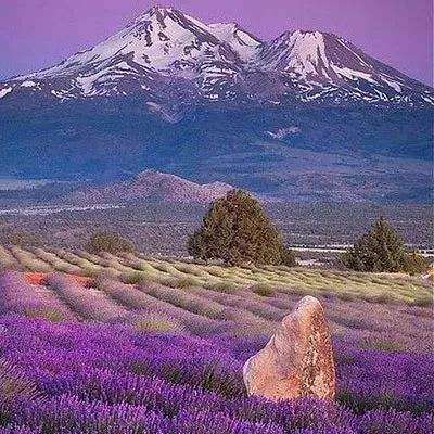 牛牛游戏网下载手机版截图