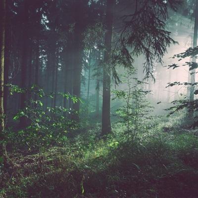 牛牛游戏网下载手机版截图